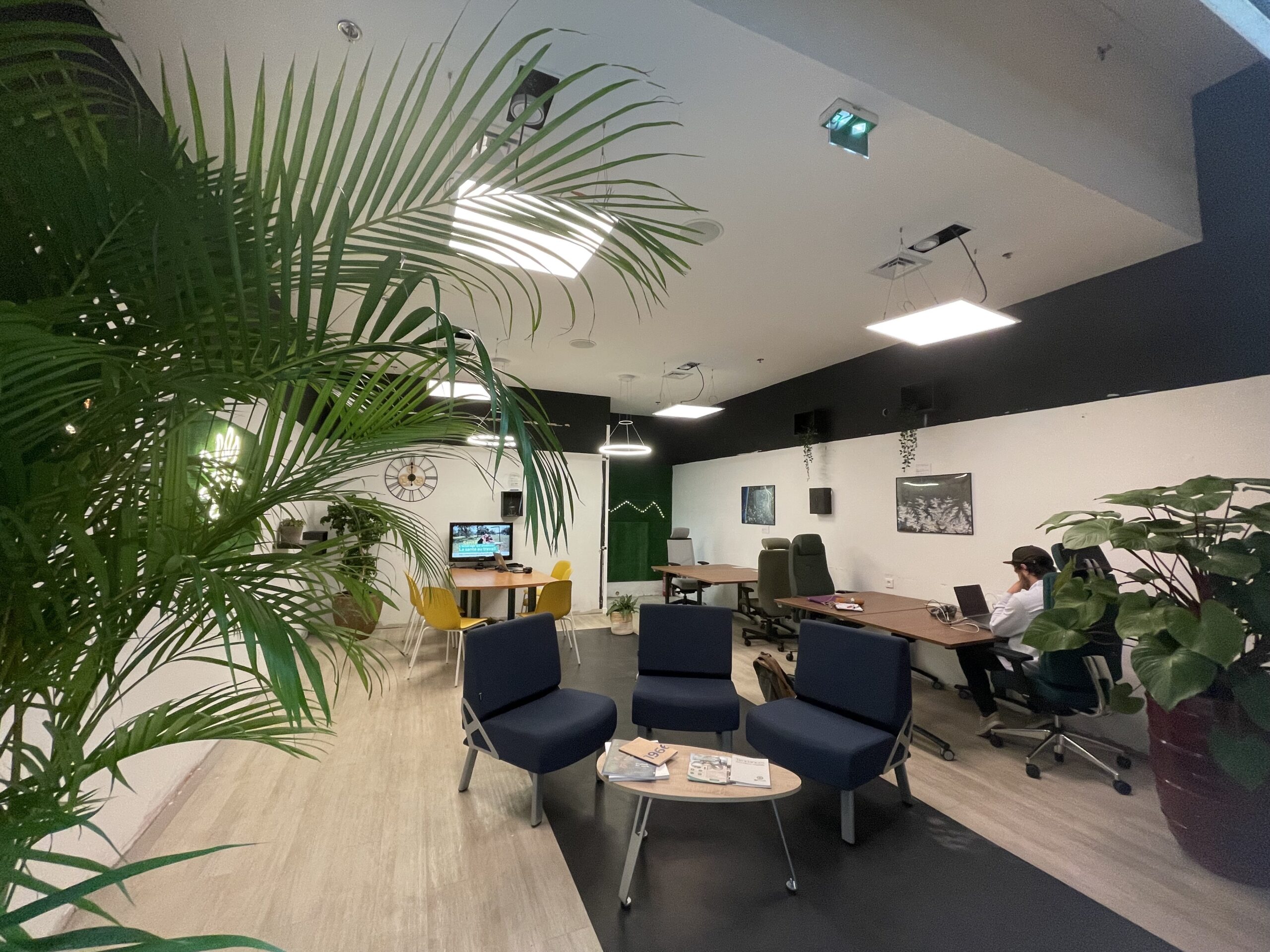 Installation des éclairages biomimétiques Libu dans un coworking