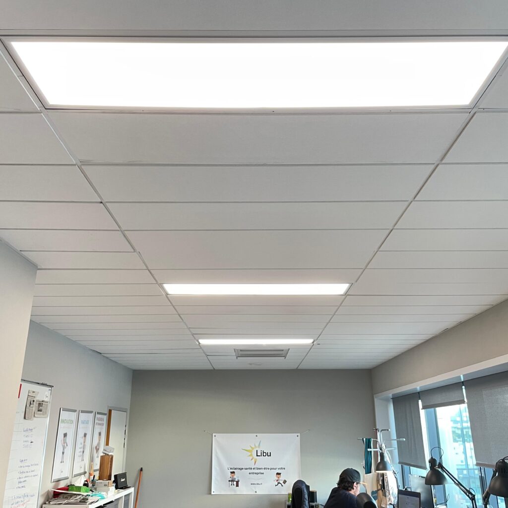 Dalle led Libu in situ dans dans les bureaux d'une entreprise